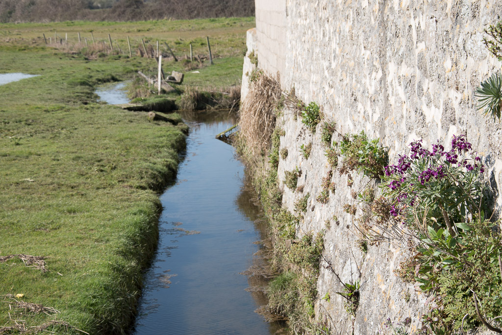 Zone naturelle