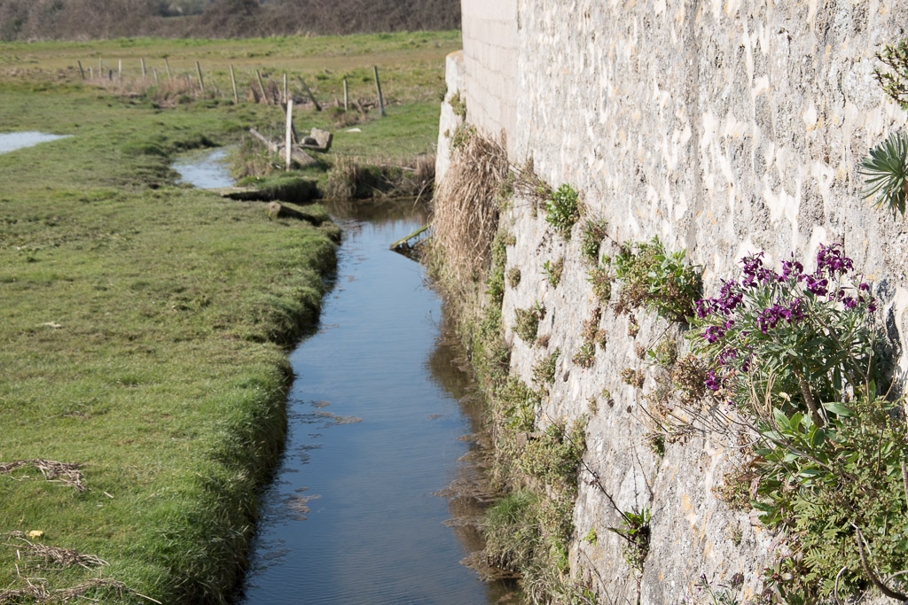 Zone naturelle