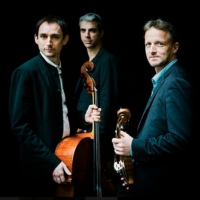 Le Trio Surel