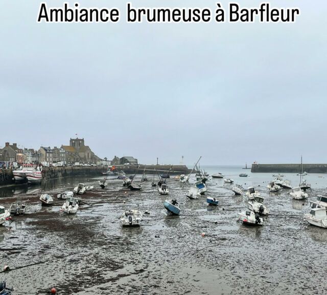 #barfleur #portdepeche #coquillesaintjacquesnormandie #marees #nordcotentin #lesplusbeauxvillagesdefrance #bateaux #portdechouage #pittoresque #granite #cotentin #manche #normandie #france